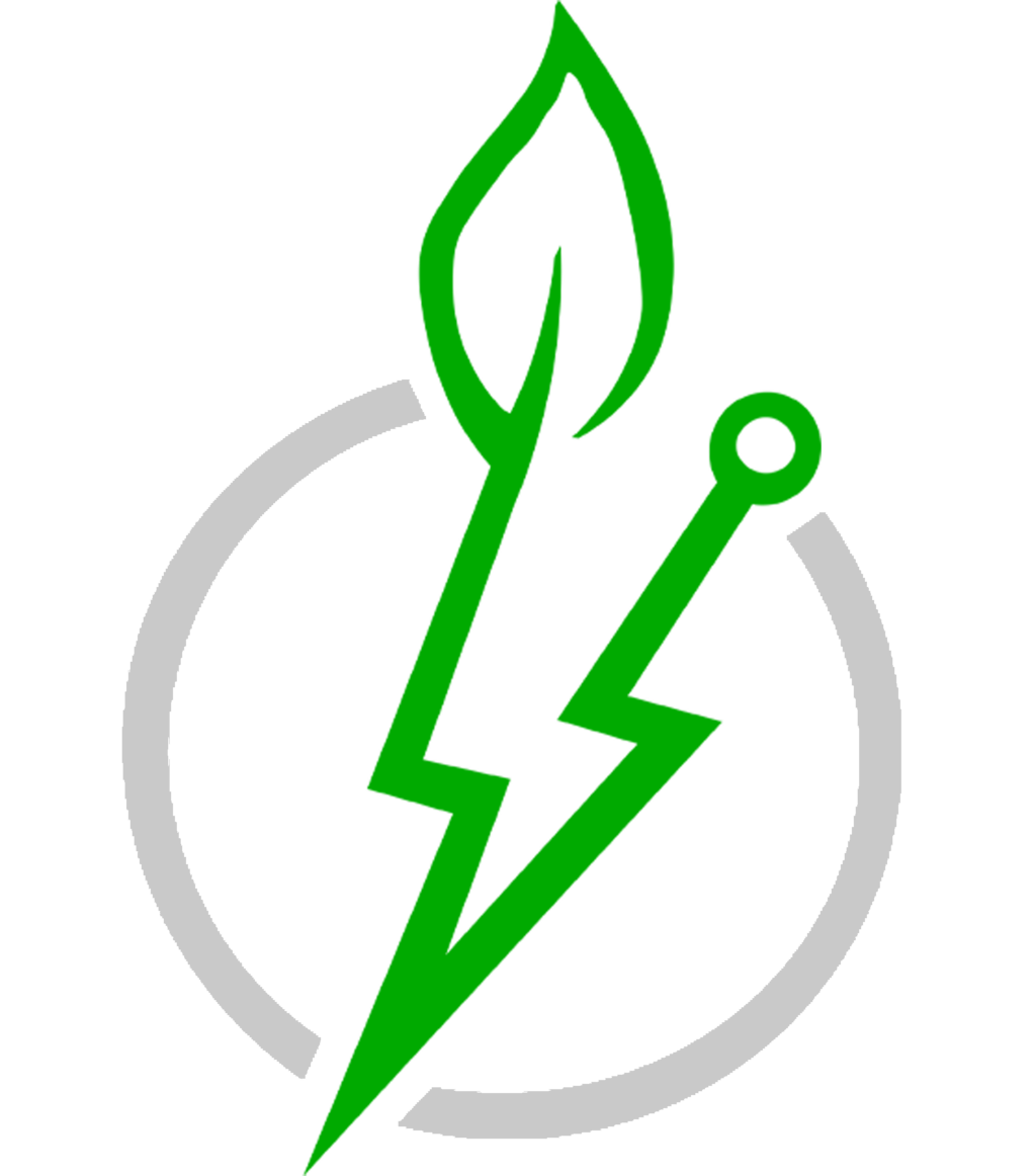 Logo Patagonia Electric